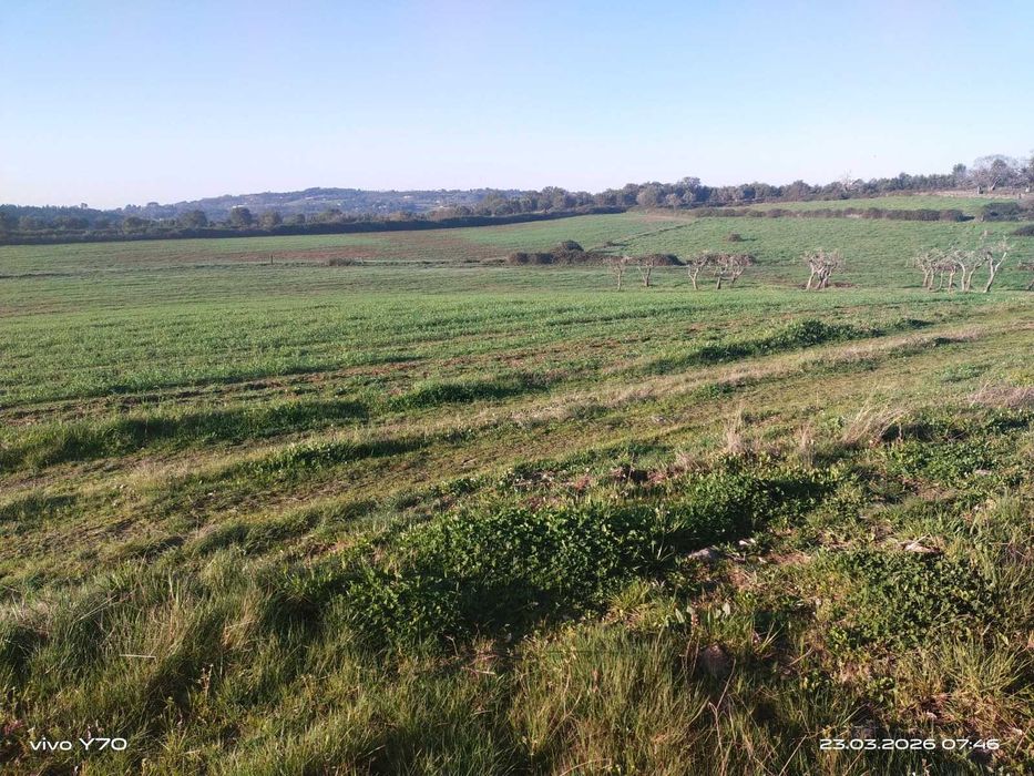 Magnífico monte/herdade, 25 hectares de pura natureza, ideal para quem procura tranquilidade/investimento