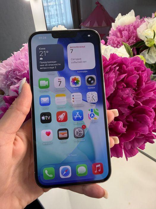 Iphone 13 pro max 256 Gb
