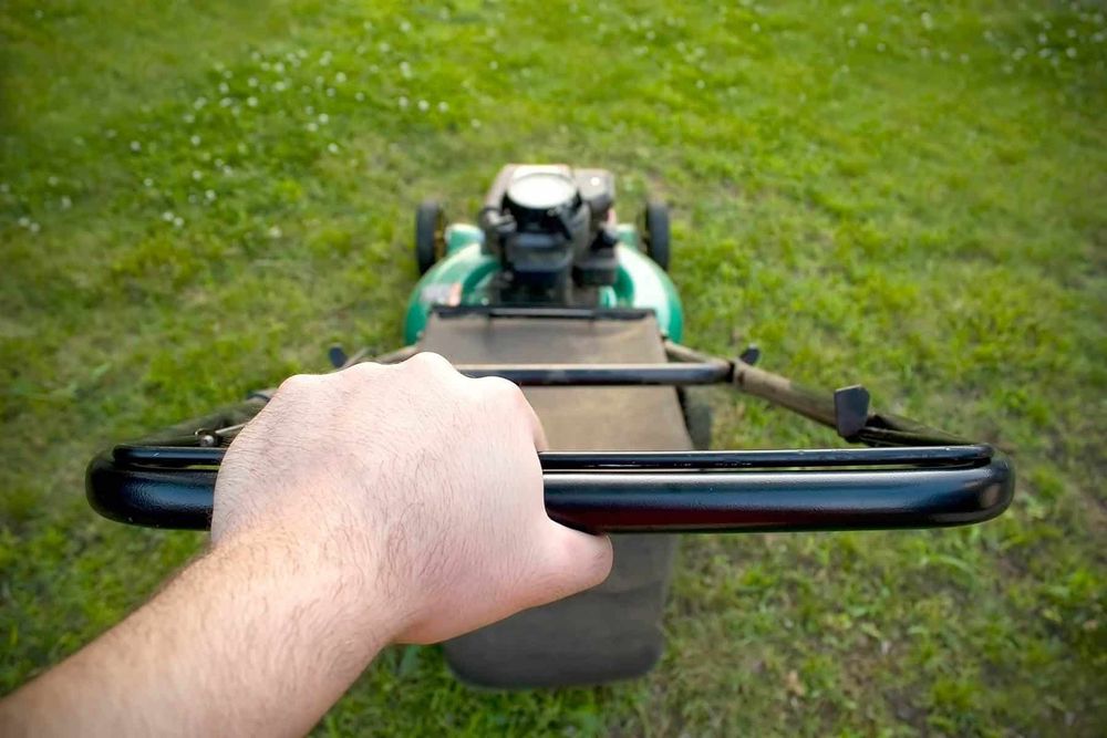 Oferujemy szeroki zakres usług. Bud&Green