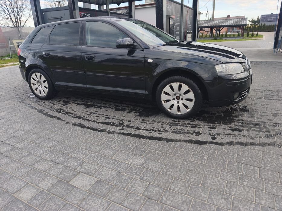 Audi A3 8P 2.0Tdi