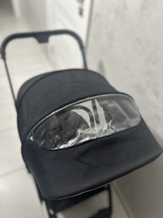 Коляска прогулянкова Carello Alfa 2023