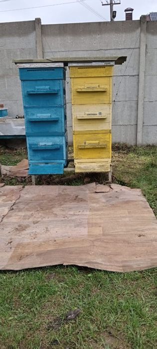 Продам вулики для бджіл