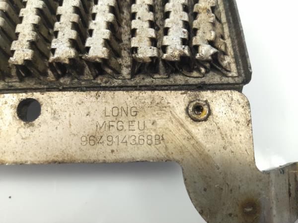Radiador Combustivel PEUGEOT Partner II