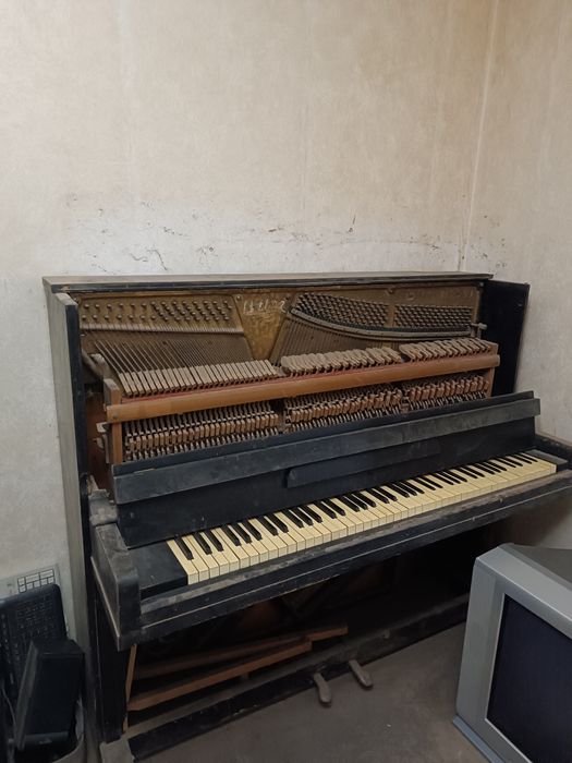 Віддам безкоштовно, самовивіз з Ювілейної