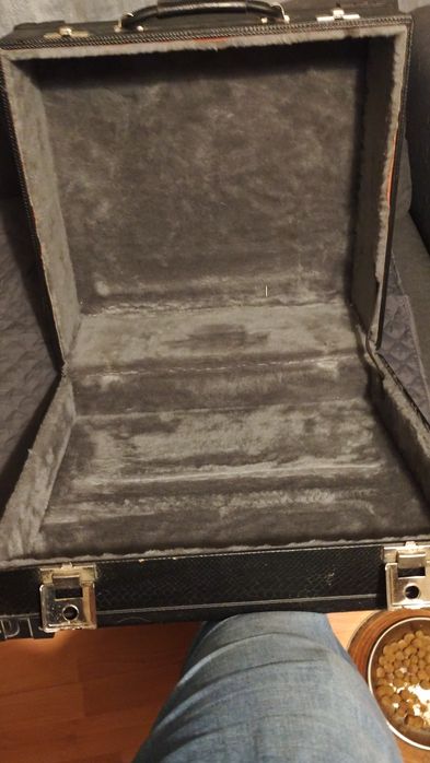 Vendo Acordeão HORNER