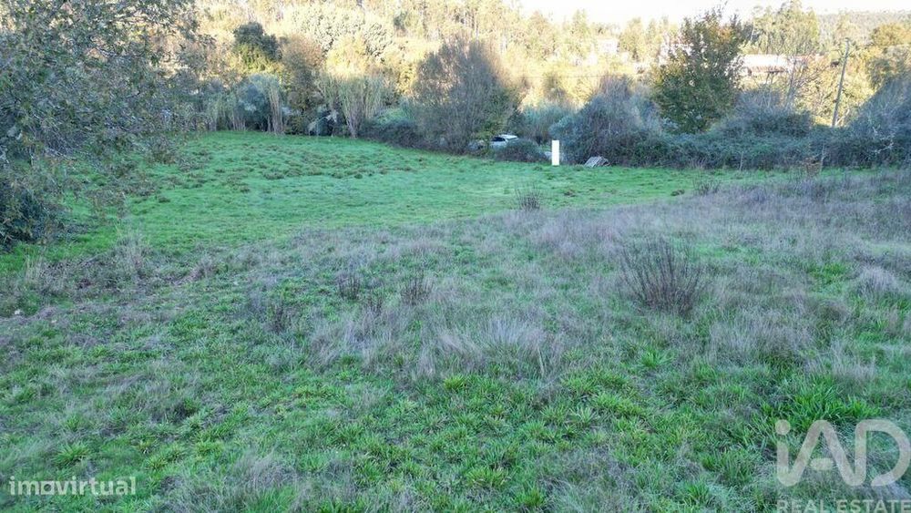 Terreno para construção em Semide e Rio Vide