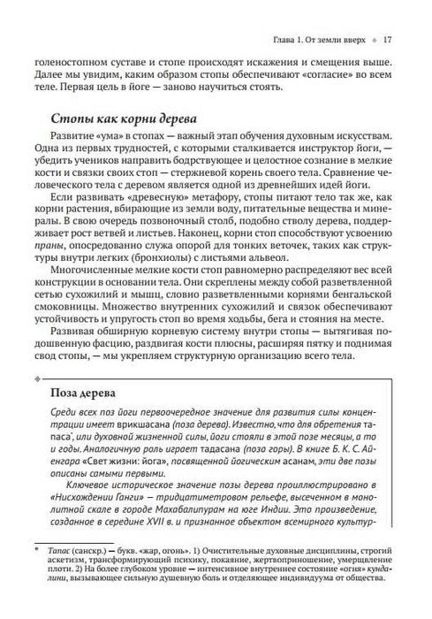 Йога тонкого тела. Анатомия йоги. Хатха-йога. Чакры Тиас Литтл