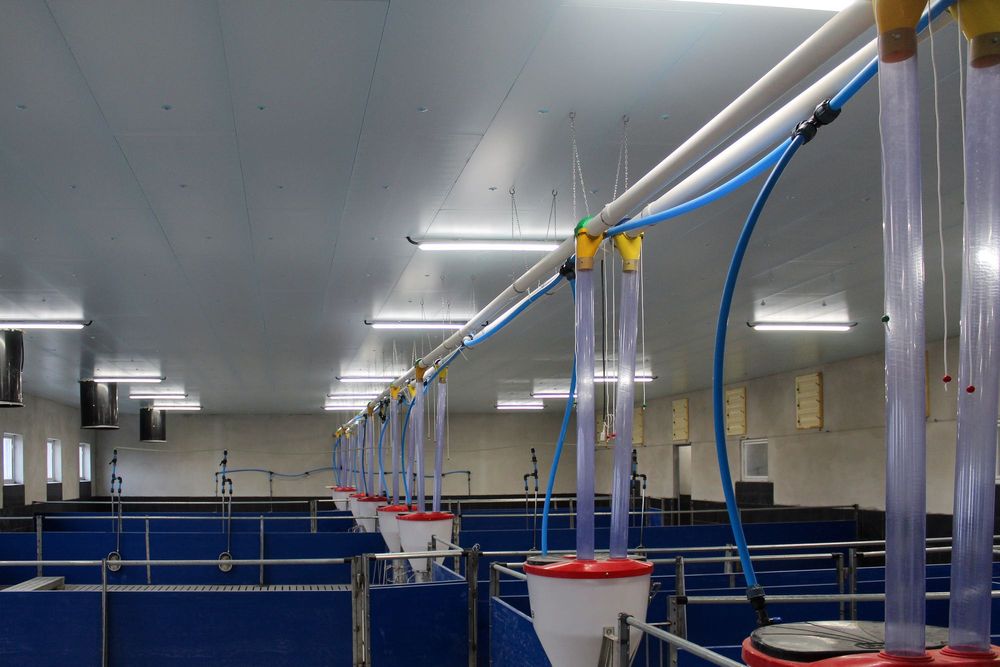 Podbitka Dachowa Budynku Inwentarskiego Magazynowego Styrodur XPS AGRO