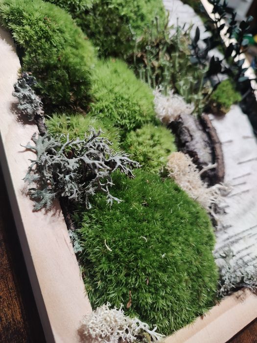 Żywy obraz z mchu i kory. 100% naturalny