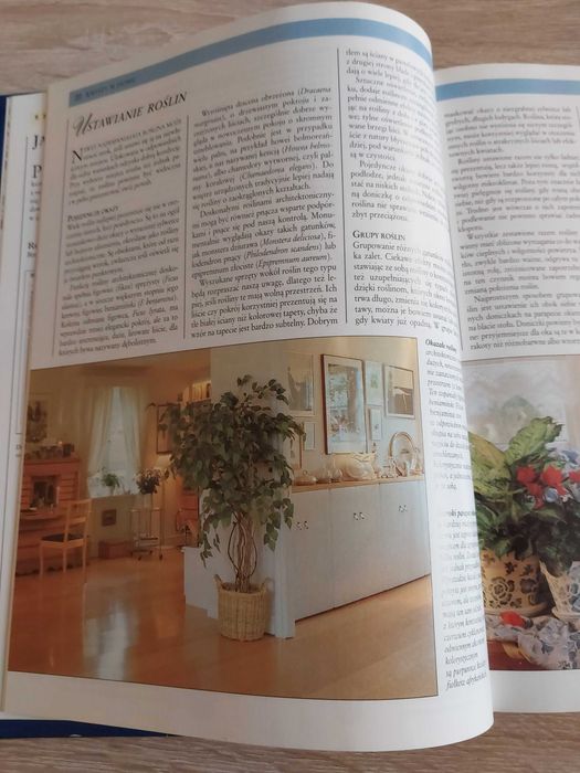Kwiaty w domu jak dobierać i pielęgnować rośliny