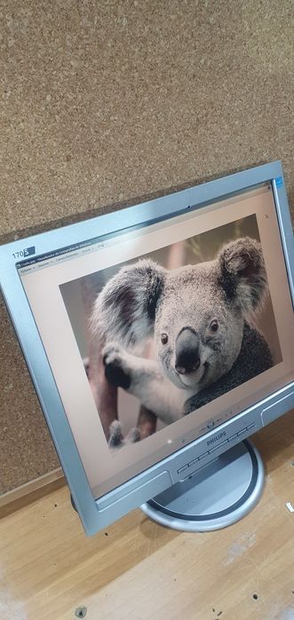 Monitor philips 17 polegadas a funcionar64740796685058120