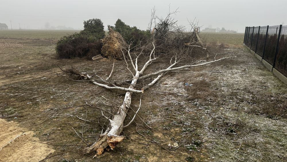 Oddam galezie do palenia