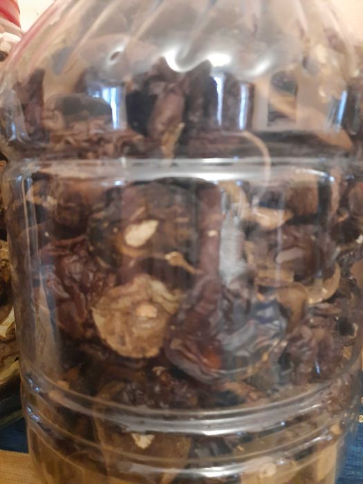 Grzyby suszone od grzyboznawcy