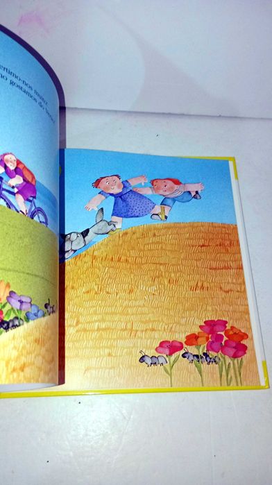 O Verão - Biblioteca Infantil