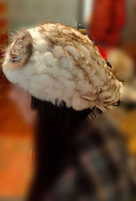 Продам женский зимний берет