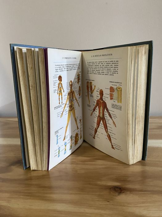 Grande livro da saúde