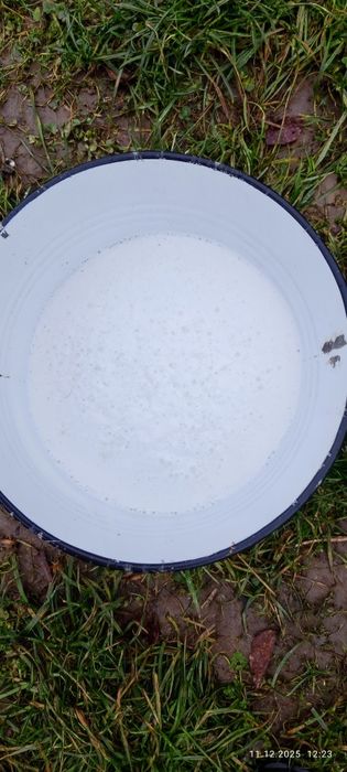 Świerże żółte masło i Jajka szaro-zielone od babci eko