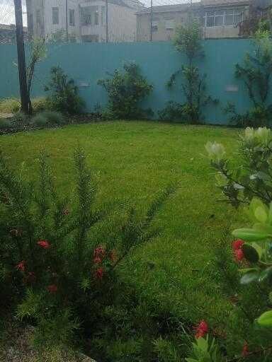 Construção e manutenção de jardins