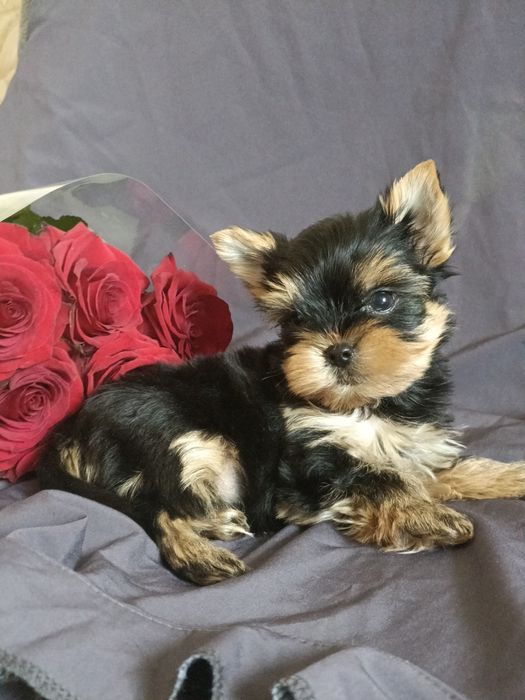 Неймовірно крутезний хлопчик