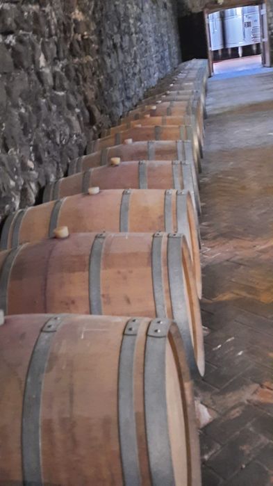 Lotes de barricas madeira de carvalho 225L (Pipos, Pipas, Barris)