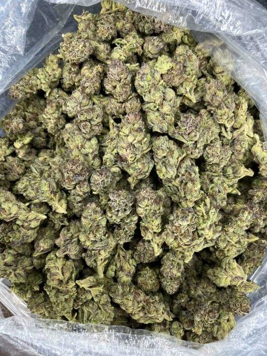 Dry CBD Slush Mints /THC<0.3%
