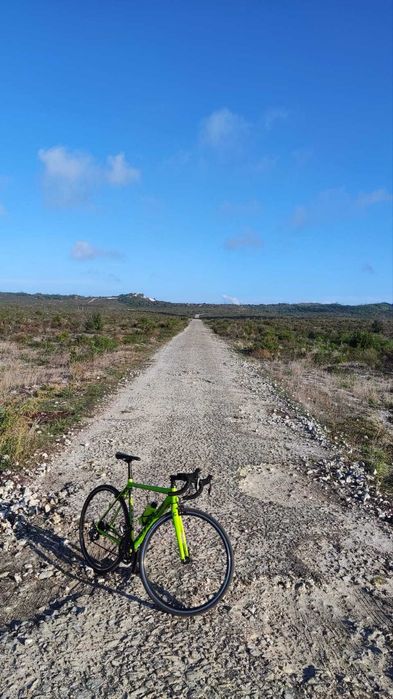 Cannondale Caad Optimo