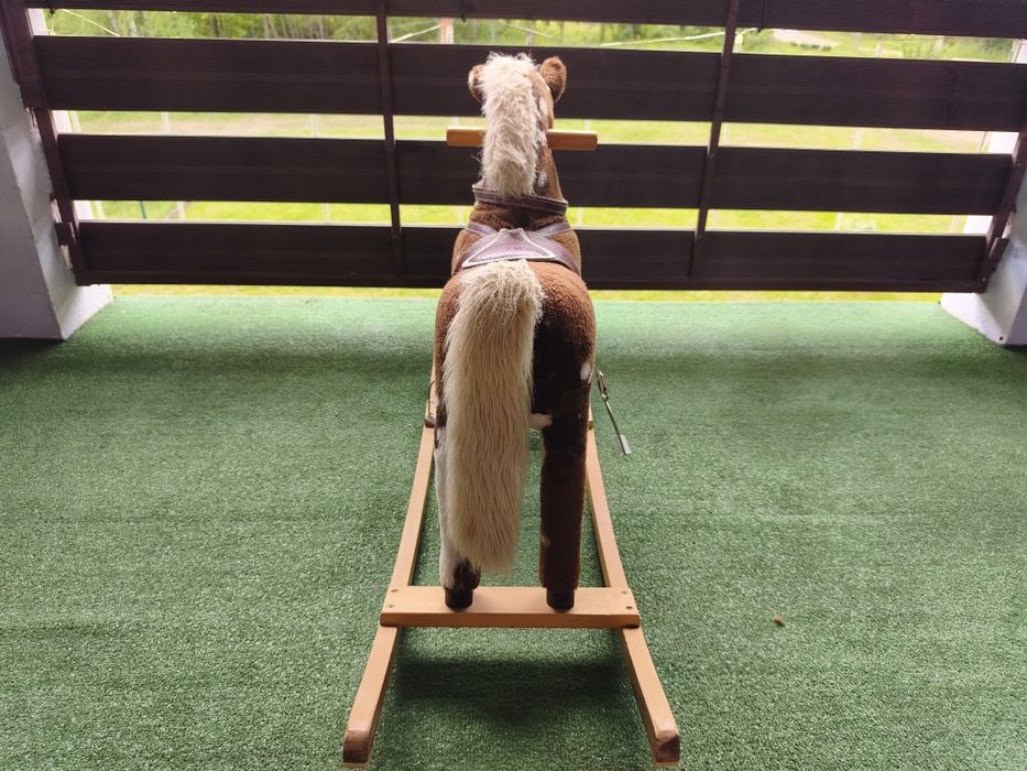 Konik Bujany, Konik na Biegunach
