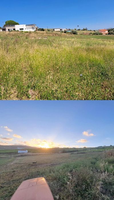Serviço de limpeza mato e corte de árvores