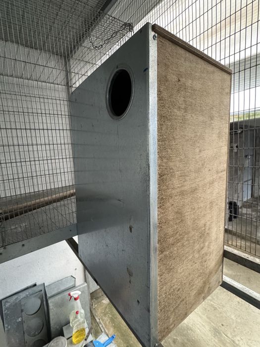 Ninho para papagaios