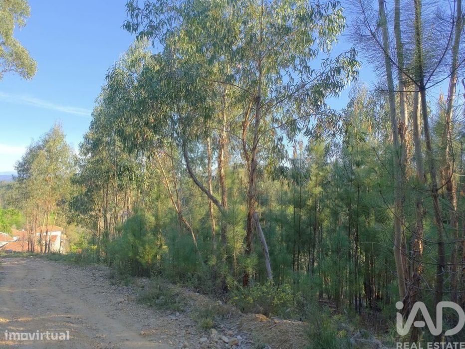 Quinta T2 em Carvalhais e Candal de 55 m2