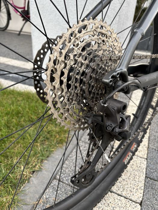 Trek x caliber 8 29” M/L