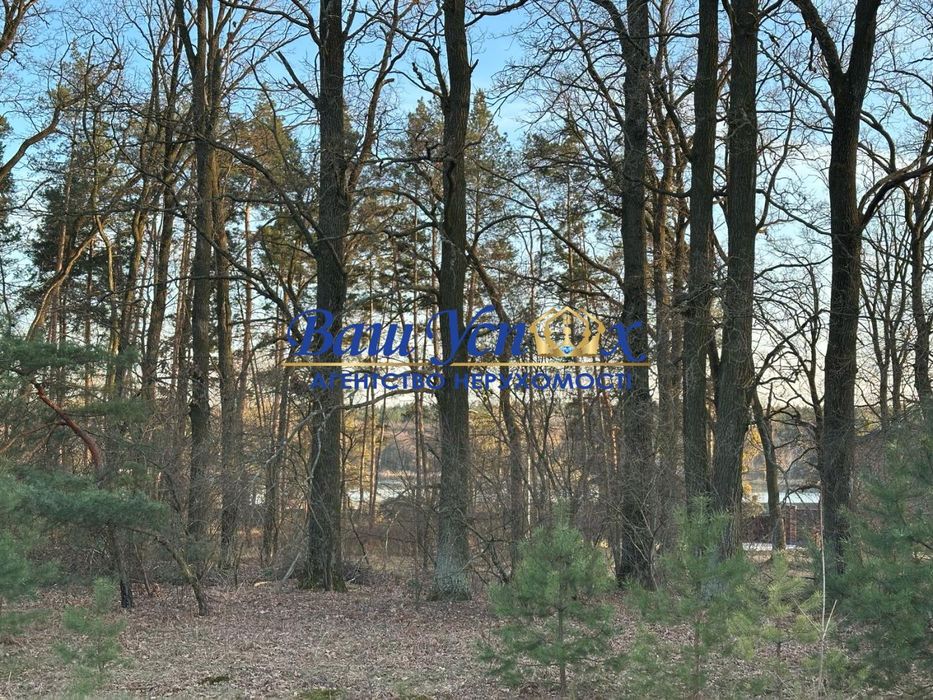 Продажа  участка земли в лесу в городке. село Круглик.