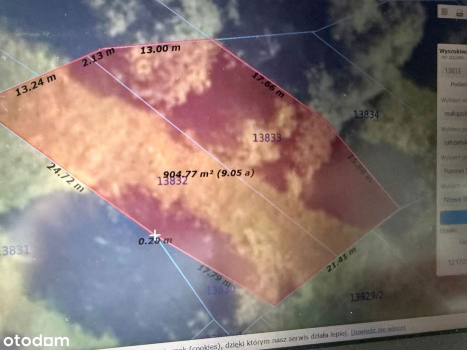 Na sprzedaż działki rolne oraz las – Nowe Bystre - View 4