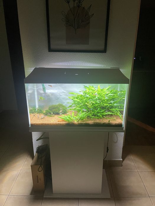 Aquario Aquael com movel 112L