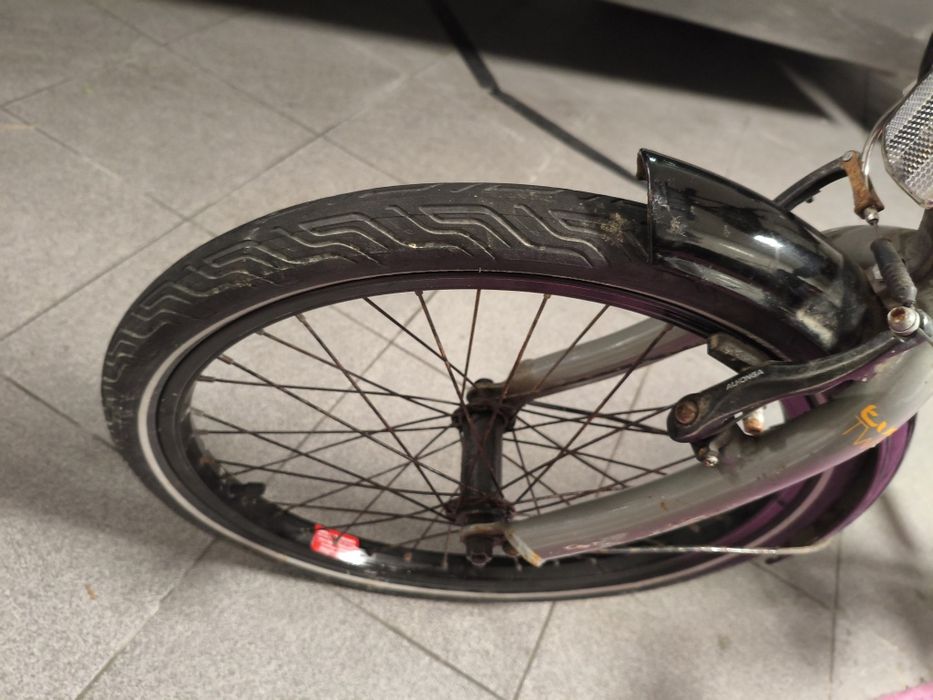 Bicicleta dobrável raleigh