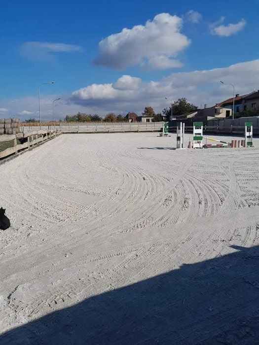 Pensjonat hotel dla koni. Wolny boks