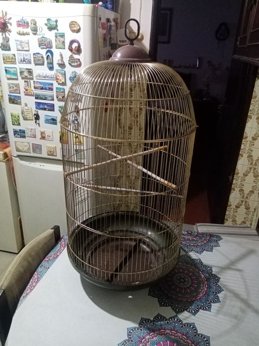 Gaiola grande praticamente nova