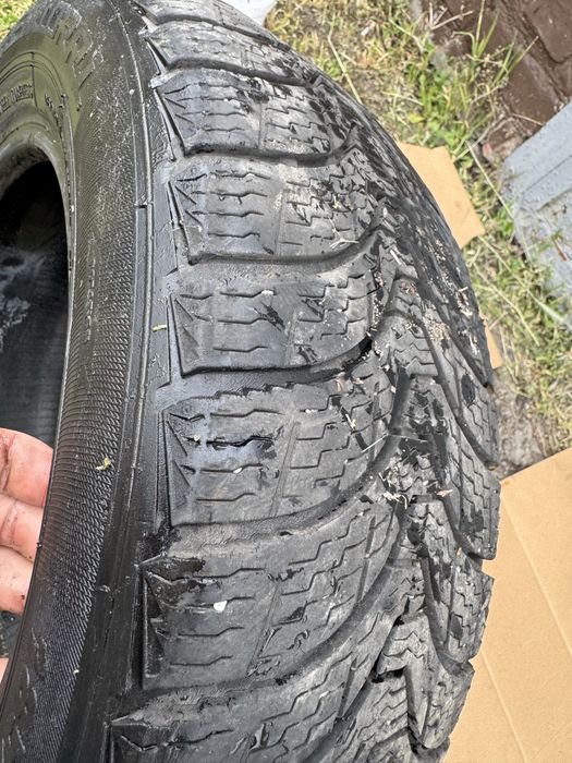 1856014 росава - Купить шины для авто - Цена на OLX.ua