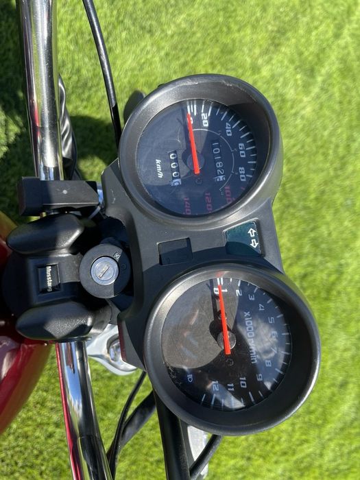 Musstang Alfa FiT MT125-8
