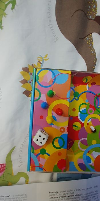 Gry planszowe 2w1 grzybobranie i rajd samochodowy Alexander