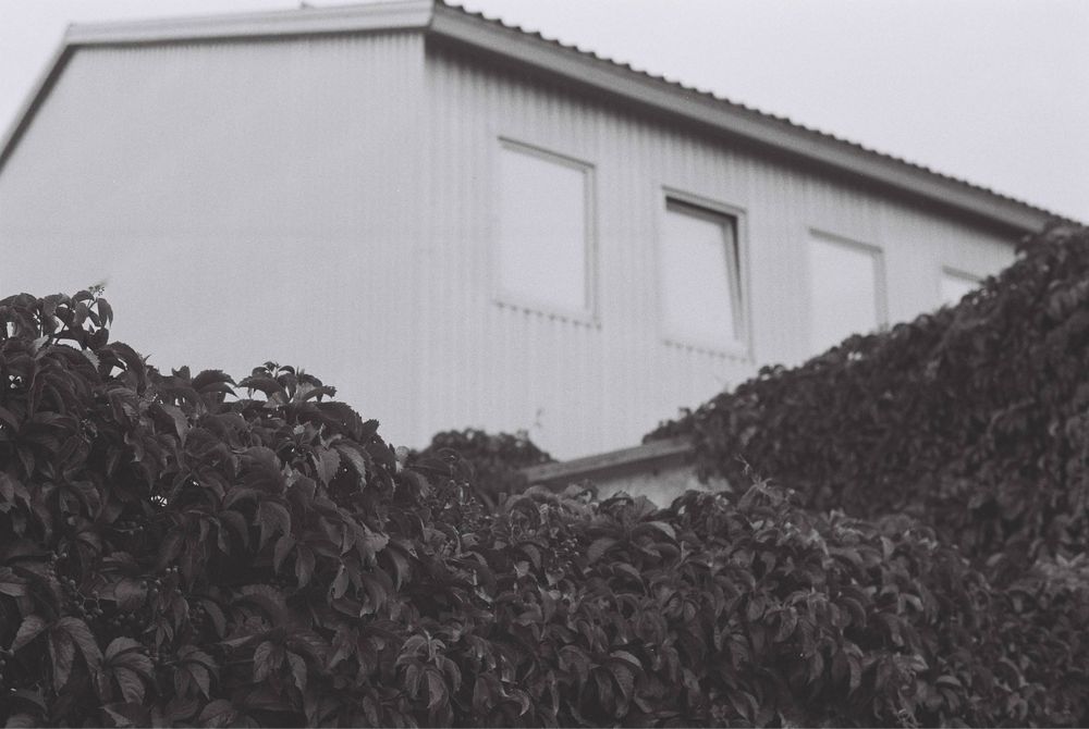 Minolta XG-1 + MD Rokkor 50mm f1.7