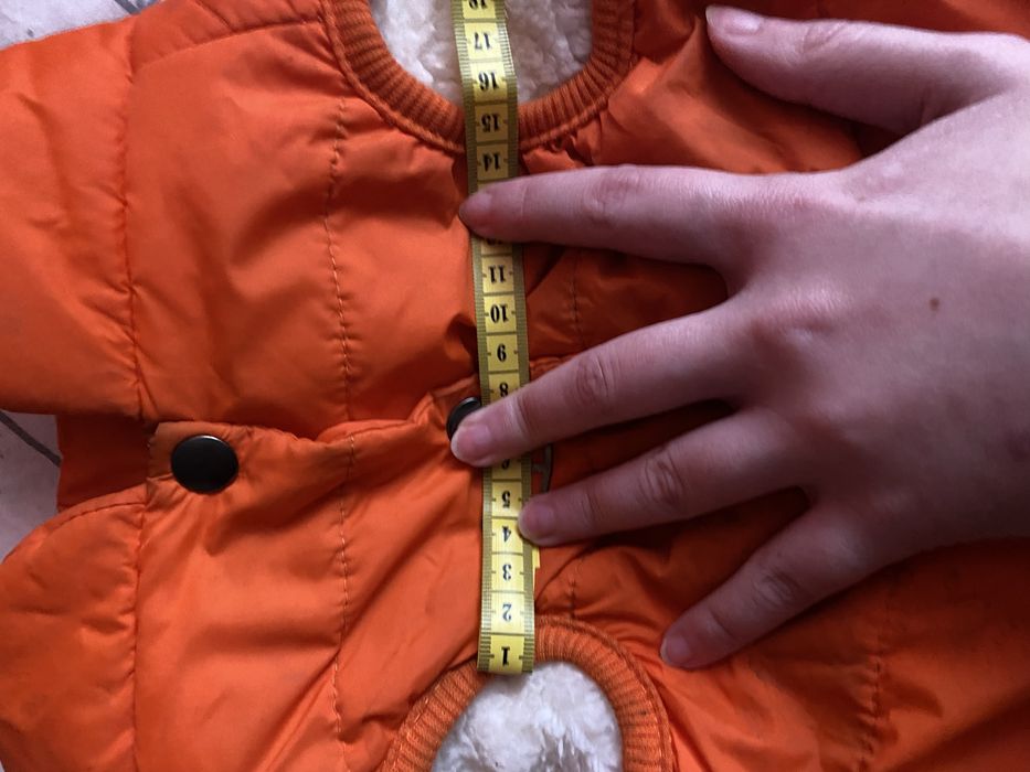 Жилетка для собак