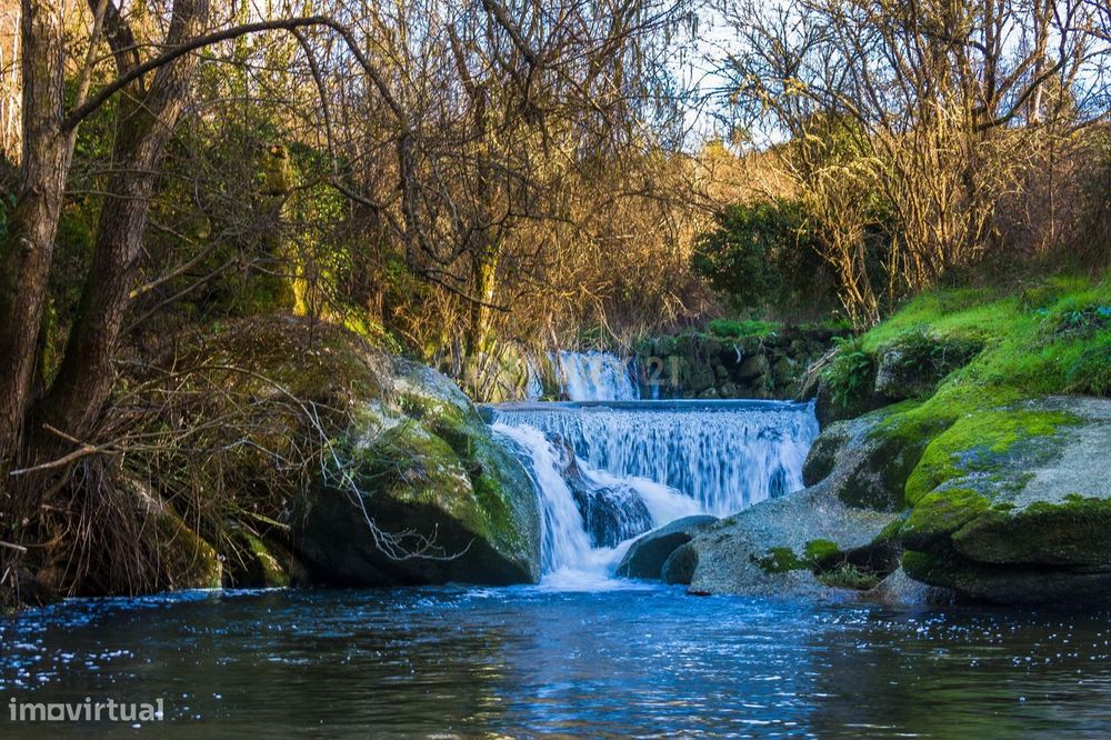 Quinta em  Midões, Tábua, com cerca de 6 hectares junto ao Rio Cavalos