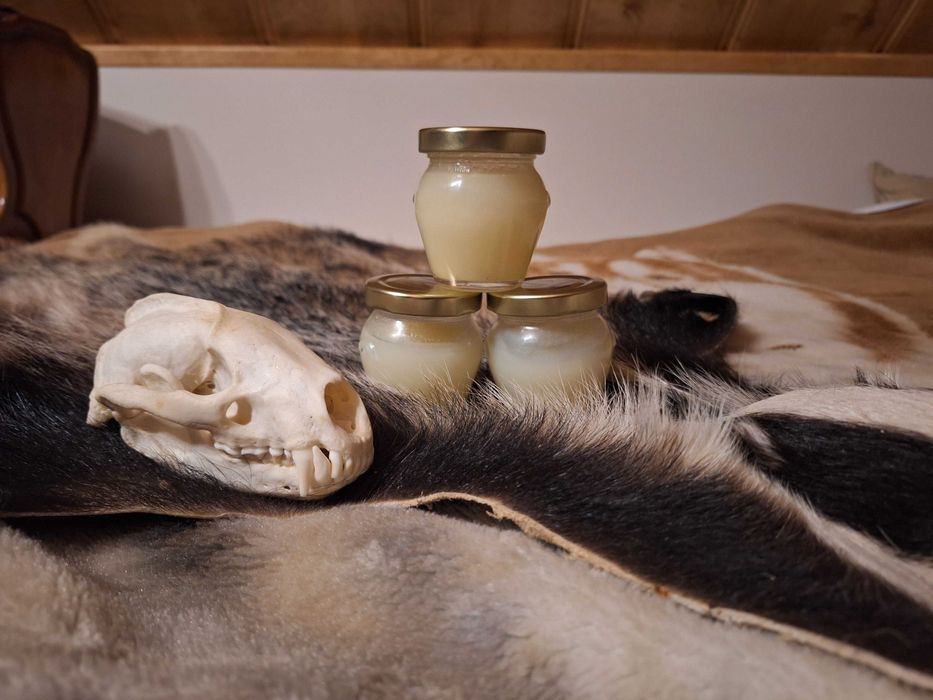 Smalec/tłuszcz /sadło z borsuka 100ml