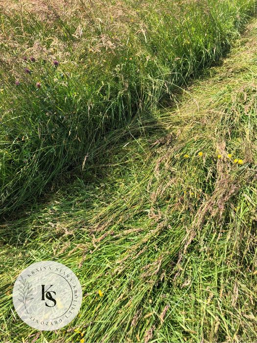 6kg/Sianko 2025 łąkowe z tymotką dla świnki morskiej- Kraina Siana