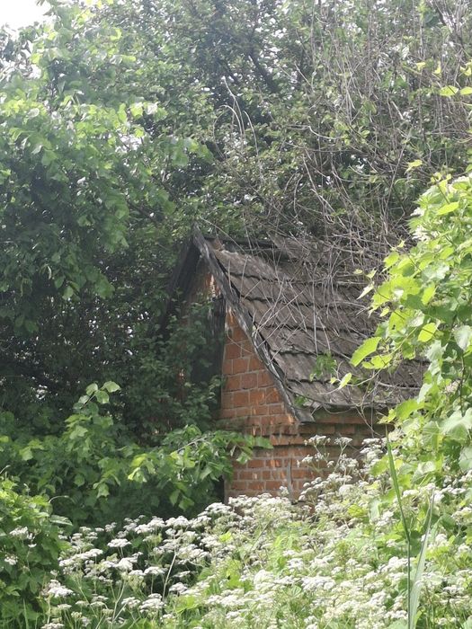 Продам будинок в с.Хомутець . Або на розбір.