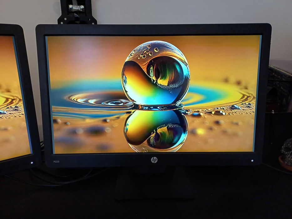 2 HP Computer Monitors P223442910158064209922
