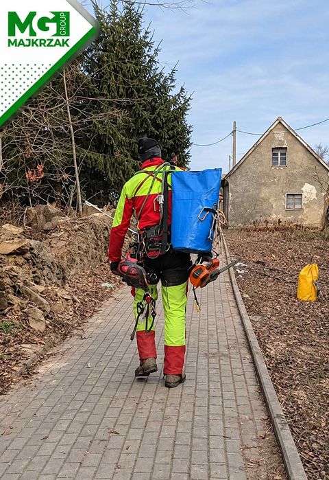 Wycinka drzew | Alpinistyczna wycinka drzew | Usuwanie drzew trudnych |Usuwanie drzew z działki | Dzierżoniów, Ząbkowice, Wałbrzych, Świdnica, Bielawa
