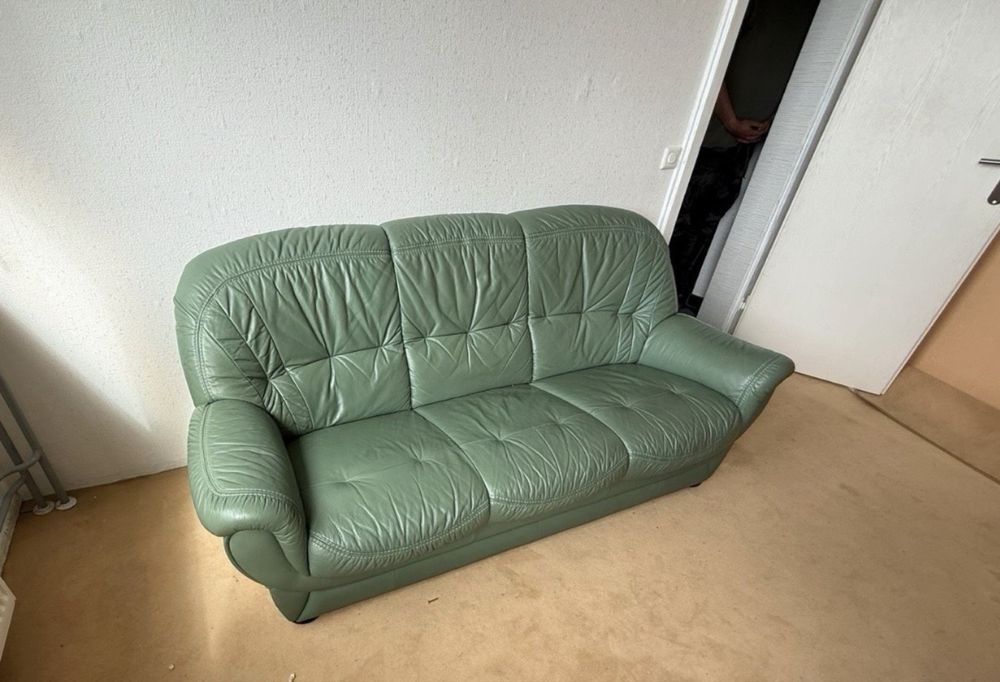 Шкіряний диван знленого кольору