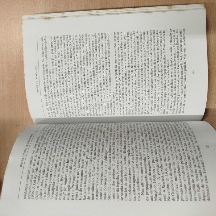 Hitler perfil de um ditador - David Welch